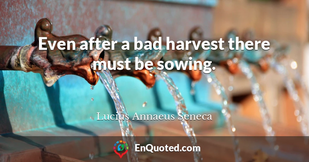 Even after a bad harvest there must be sowing.
