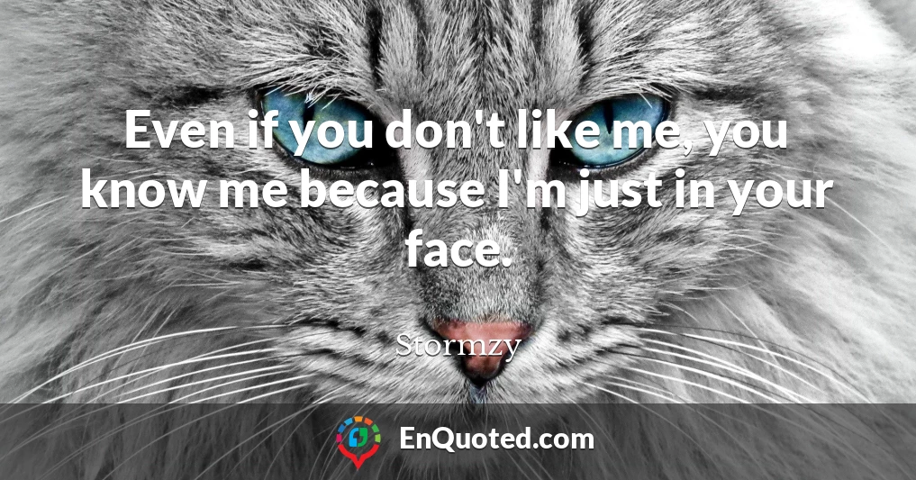 Even if you don't like me, you know me because I'm just in your face.