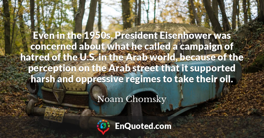 Even in the 1950s, President Eisenhower was concerned about what he called a campaign of hatred of the U.S. in the Arab world, because of the perception on the Arab street that it supported harsh and oppressive regimes to take their oil.
