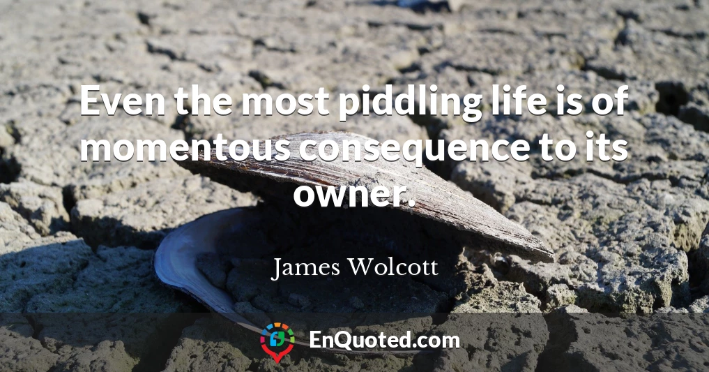 Even the most piddling life is of momentous consequence to its owner.