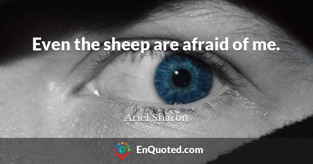Even the sheep are afraid of me.