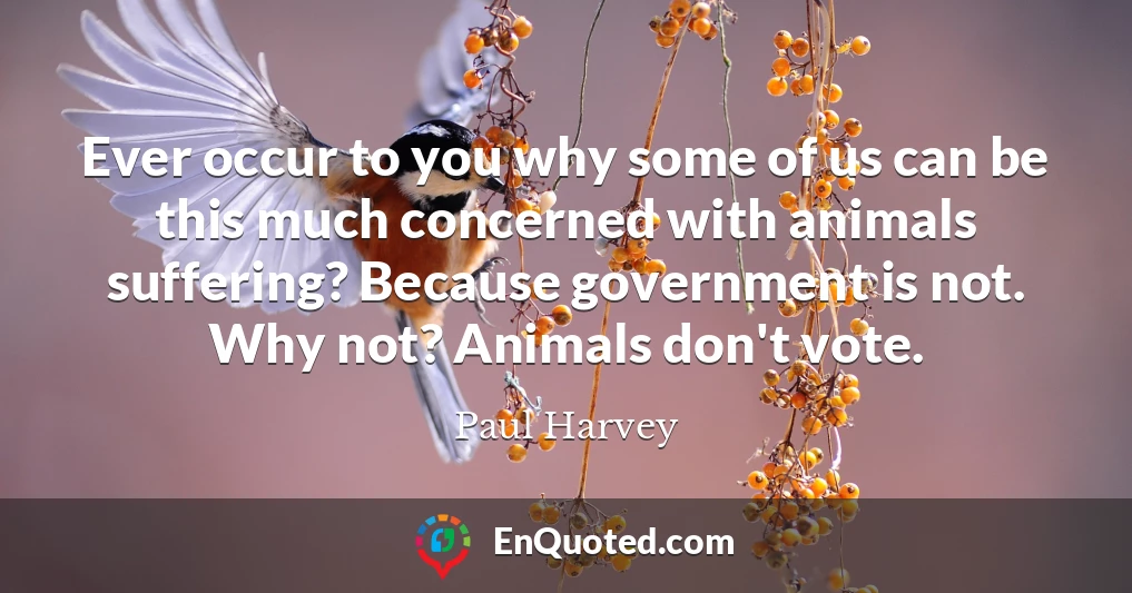 Ever occur to you why some of us can be this much concerned with animals suffering? Because government is not. Why not? Animals don't vote.