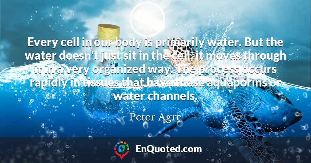 Every cell in our body is primarily water. But the water doesn't just sit in the cell, it moves through it in a very organized way. The process occurs rapidly in tissues that have these aquaporins or water channels.