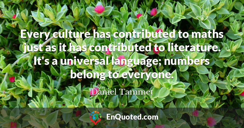Every culture has contributed to maths just as it has contributed to literature. It's a universal language; numbers belong to everyone.