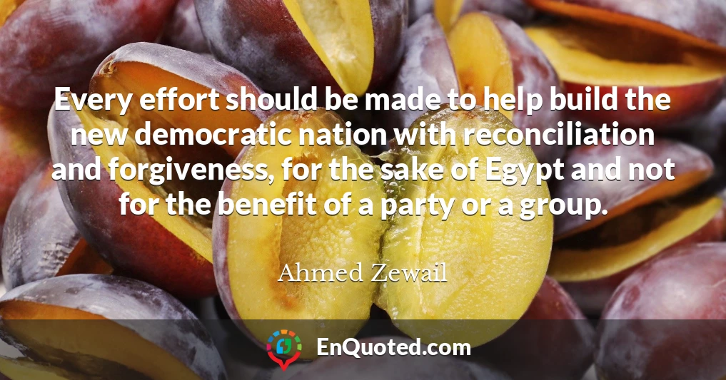 Every effort should be made to help build the new democratic nation with reconciliation and forgiveness, for the sake of Egypt and not for the benefit of a party or a group.