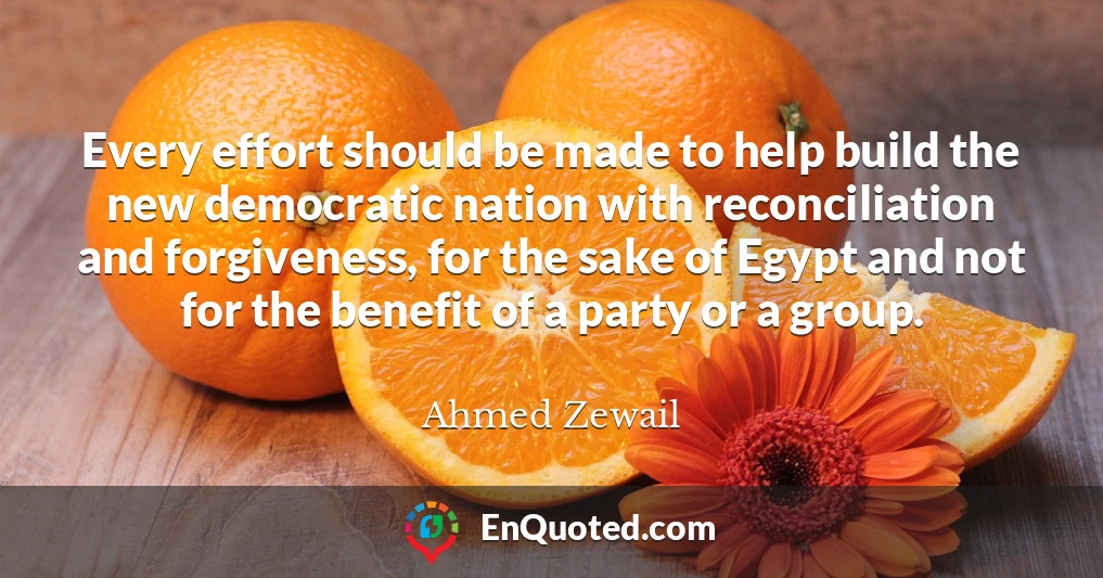 Every effort should be made to help build the new democratic nation with reconciliation and forgiveness, for the sake of Egypt and not for the benefit of a party or a group.