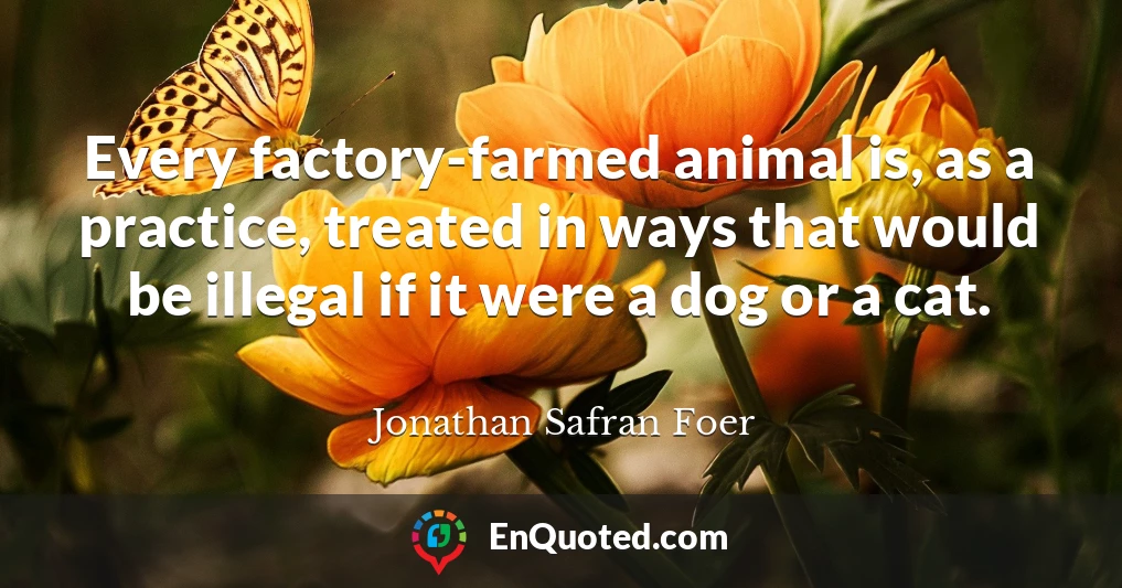 Every factory-farmed animal is, as a practice, treated in ways that would be illegal if it were a dog or a cat.