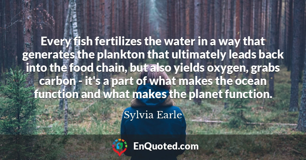 Every fish fertilizes the water in a way that generates the plankton that ultimately leads back into the food chain, but also yields oxygen, grabs carbon - it's a part of what makes the ocean function and what makes the planet function.