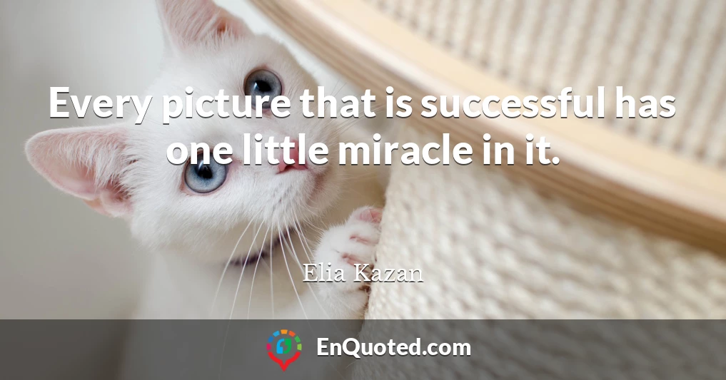 Every picture that is successful has one little miracle in it.