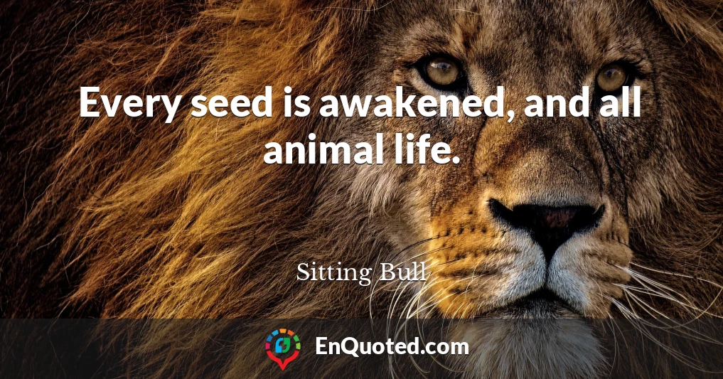 Every seed is awakened, and all animal life.