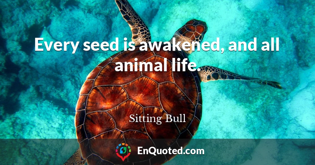 Every seed is awakened, and all animal life.