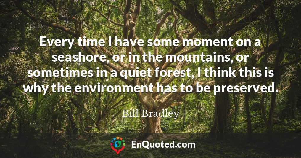 Every time I have some moment on a seashore, or in the mountains, or sometimes in a quiet forest, I think this is why the environment has to be preserved.