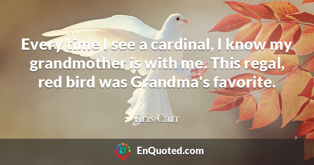 Every time I see a cardinal, I know my grandmother is with me. This regal, red bird was Grandma's favorite.