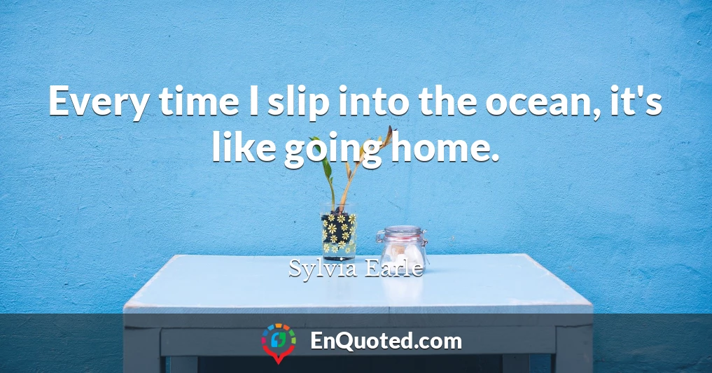 Every time I slip into the ocean, it's like going home.