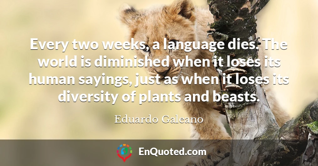 Every two weeks, a language dies. The world is diminished when it loses its human sayings, just as when it loses its diversity of plants and beasts.
