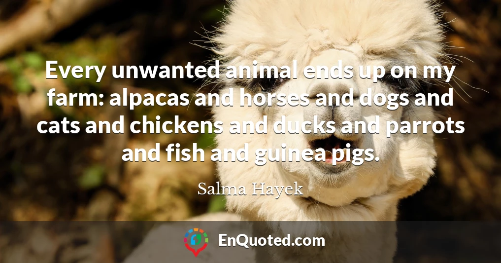 Every unwanted animal ends up on my farm: alpacas and horses and dogs and cats and chickens and ducks and parrots and fish and guinea pigs.