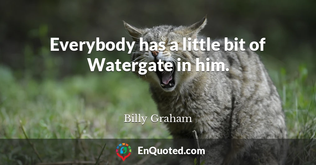 Everybody has a little bit of Watergate in him.