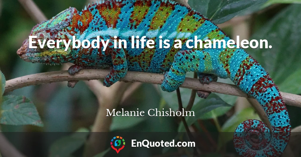 Everybody in life is a chameleon.