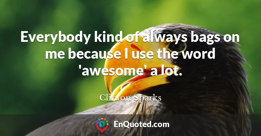 Everybody kind of always bags on me because I use the word 'awesome' a lot.