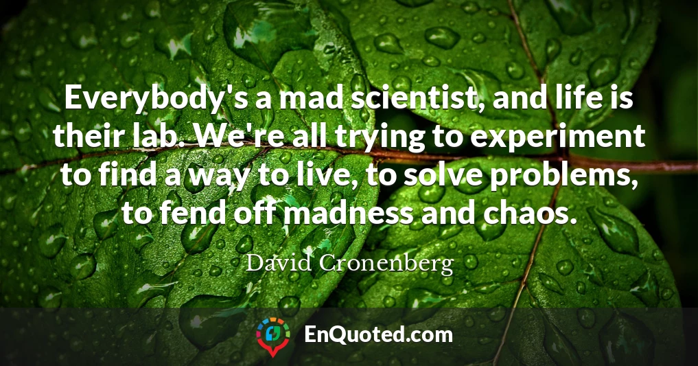 Everybody's a mad scientist, and life is their lab. We're all trying to experiment to find a way to live, to solve problems, to fend off madness and chaos.