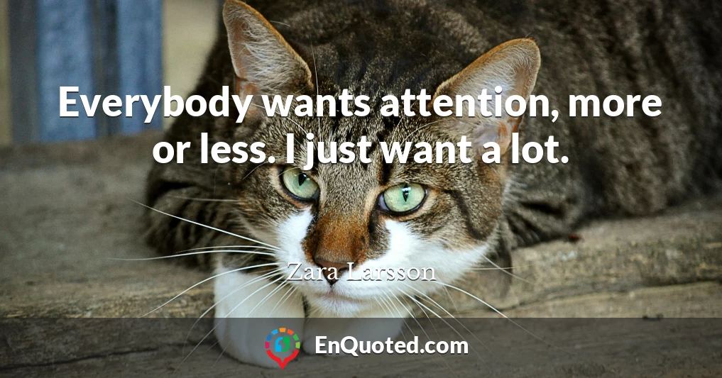 Everybody wants attention, more or less. I just want a lot.