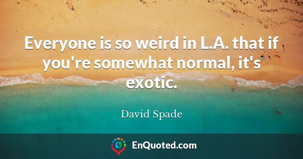 Everyone is so weird in L.A. that if you're somewhat normal, it's exotic.