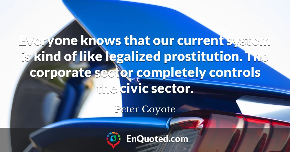 Everyone knows that our current system is kind of like legalized prostitution. The corporate sector completely controls the civic sector.