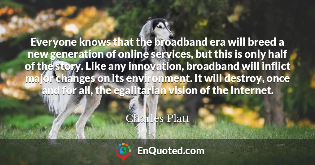 Everyone knows that the broadband era will breed a new generation of online services, but this is only half of the story. Like any innovation, broadband will inflict major changes on its environment. It will destroy, once and for all, the egalitarian vision of the Internet.