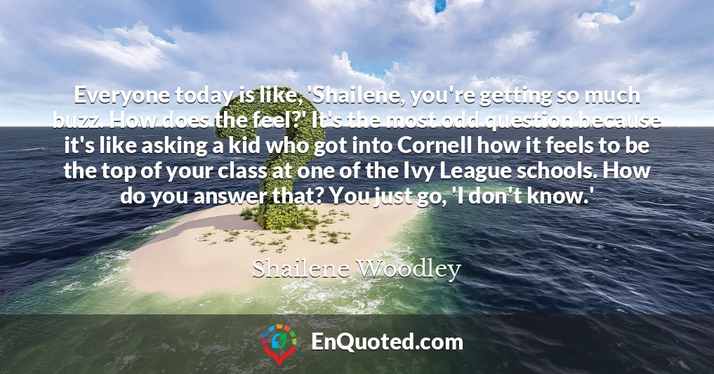 Everyone today is like, 'Shailene, you're getting so much buzz. How does the feel?' It's the most odd question because it's like asking a kid who got into Cornell how it feels to be the top of your class at one of the Ivy League schools. How do you answer that? You just go, 'I don't know.'