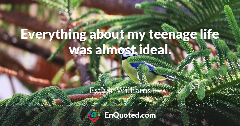 Everything about my teenage life was almost ideal.