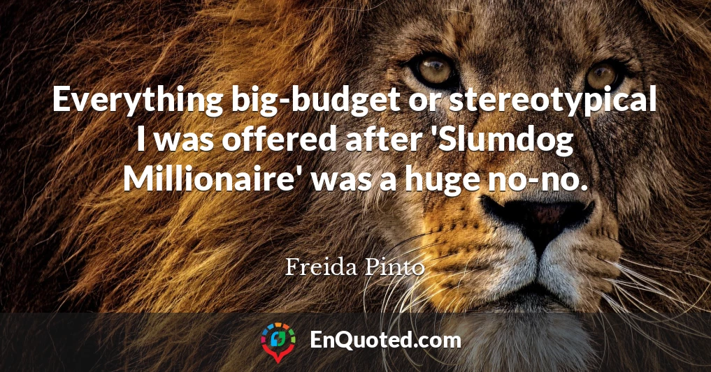Everything big-budget or stereotypical I was offered after 'Slumdog Millionaire' was a huge no-no.