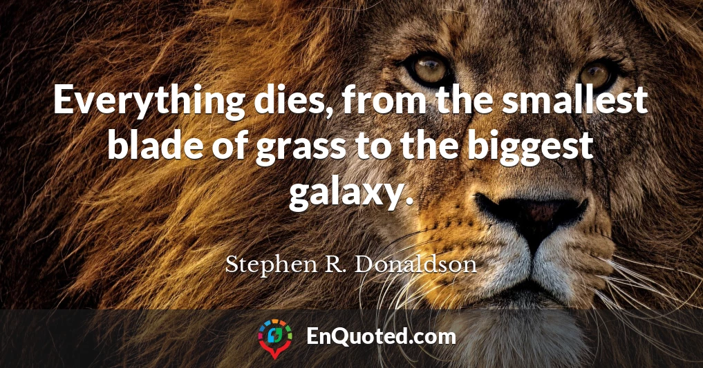 Everything dies, from the smallest blade of grass to the biggest galaxy.