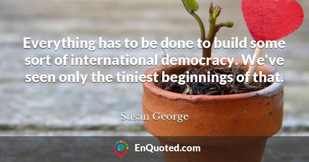 Everything has to be done to build some sort of international democracy. We've seen only the tiniest beginnings of that.