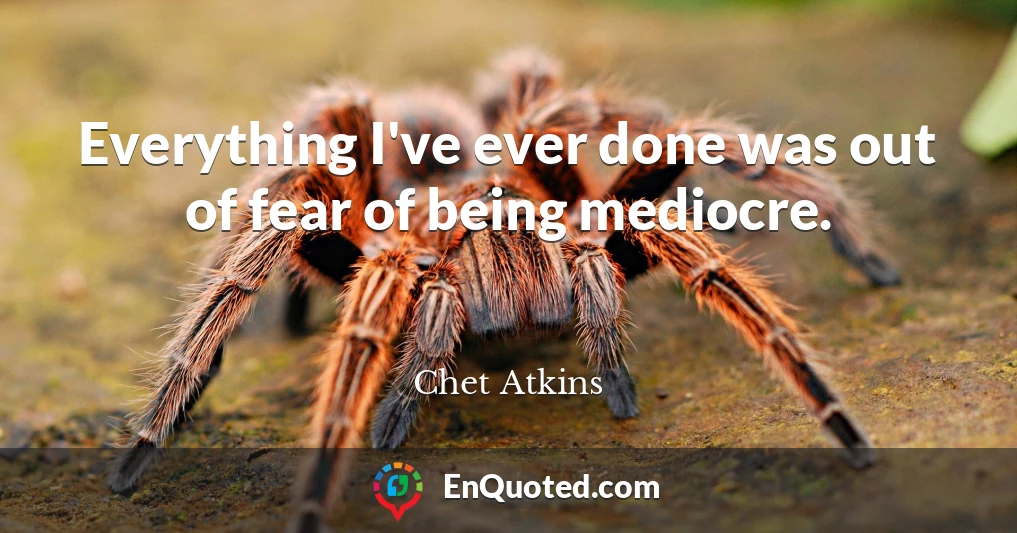 Everything I've ever done was out of fear of being mediocre.