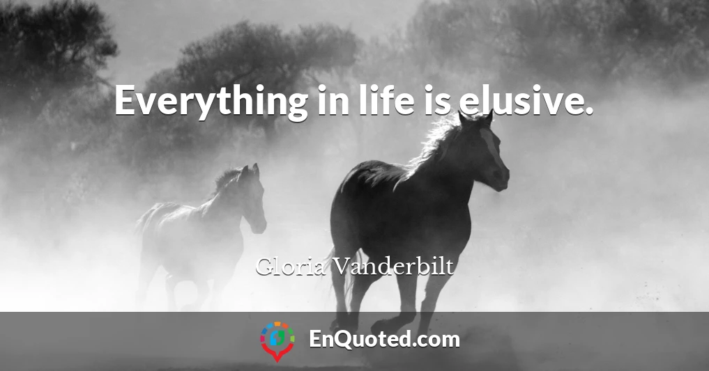 Everything in life is elusive.