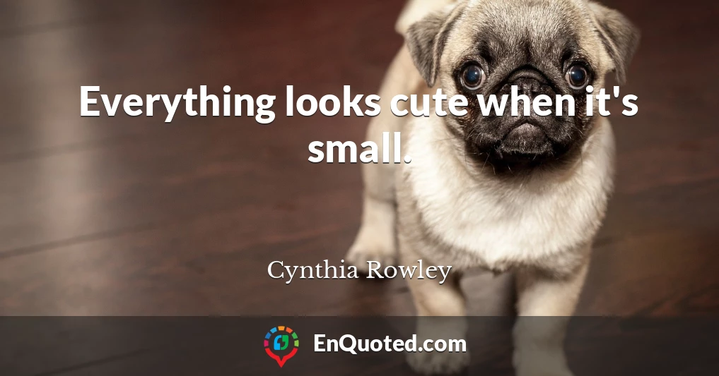Everything looks cute when it's small.