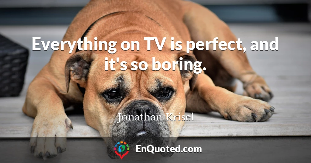 Everything on TV is perfect, and it's so boring.