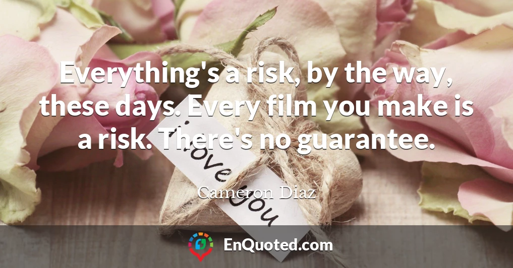 Everything's a risk, by the way, these days. Every film you make is a risk. There's no guarantee.