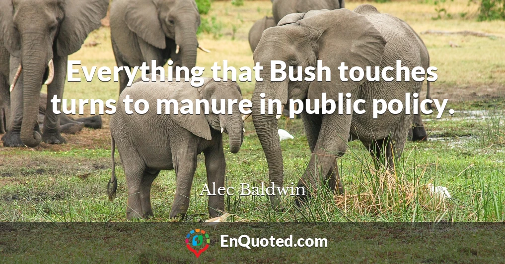 Everything that Bush touches turns to manure in public policy.