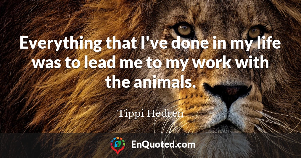 Everything that I've done in my life was to lead me to my work with the animals.