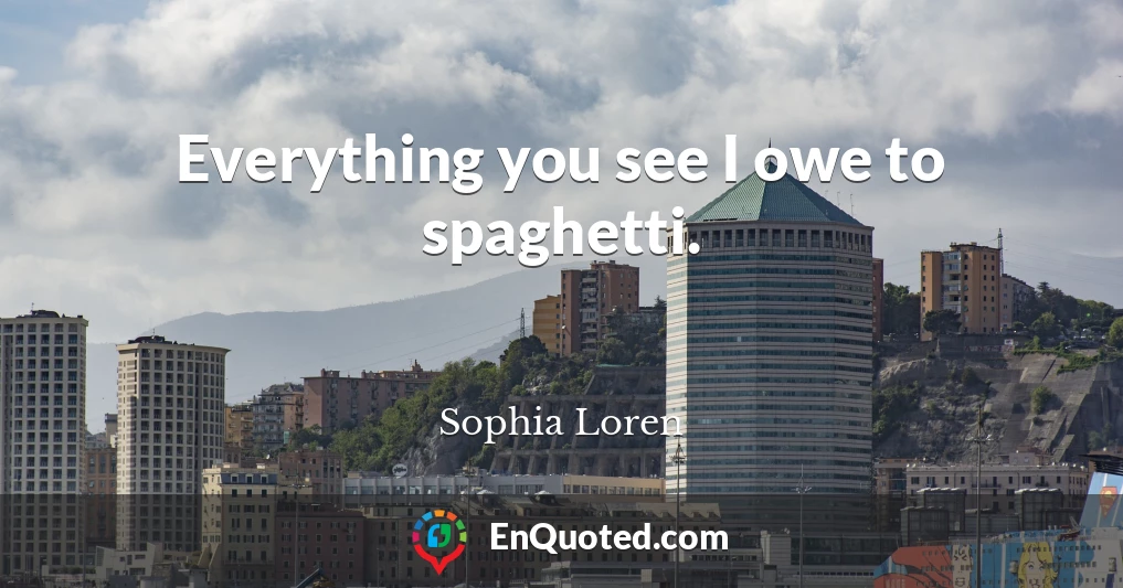 Everything you see I owe to spaghetti.