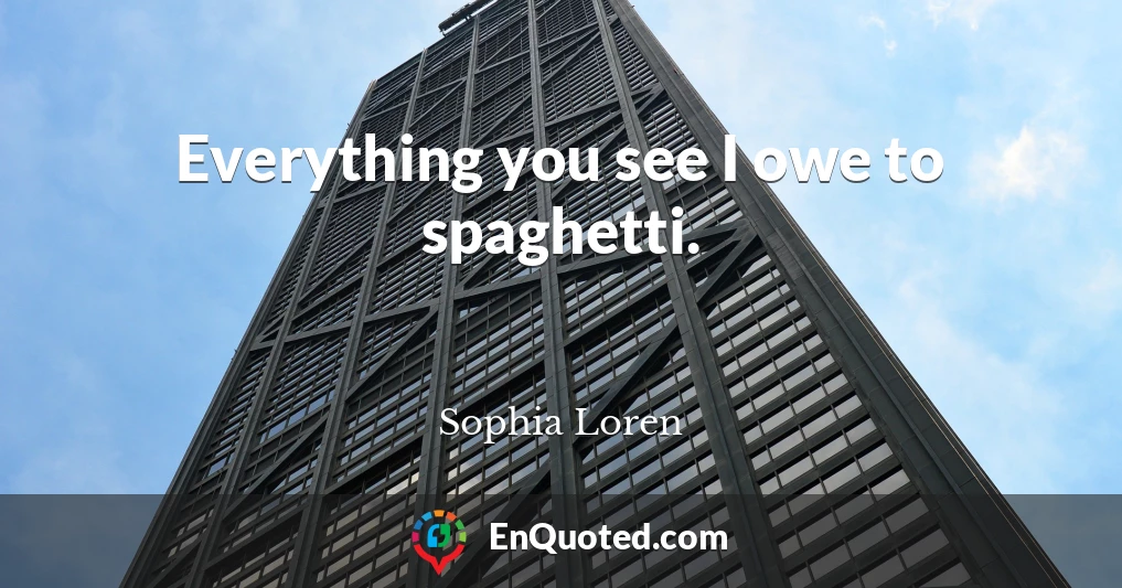 Everything you see I owe to spaghetti.