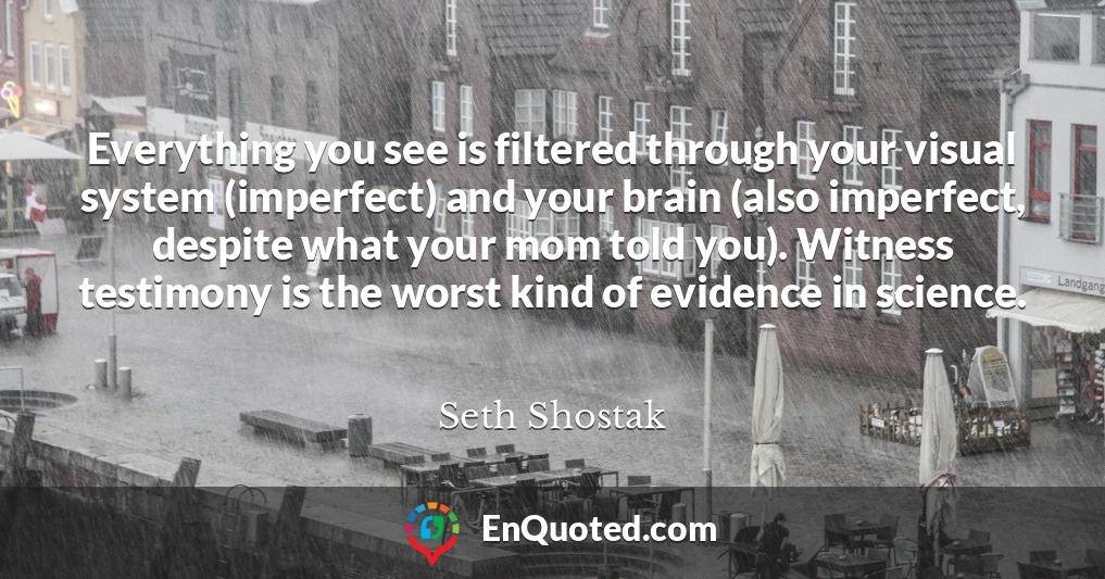 Everything you see is filtered through your visual system (imperfect) and your brain (also imperfect, despite what your mom told you). Witness testimony is the worst kind of evidence in science.