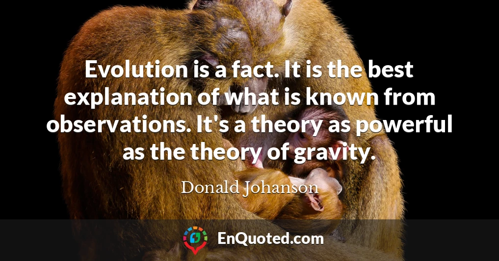 Evolution is a fact. It is the best explanation of what is known from observations. It's a theory as powerful as the theory of gravity.