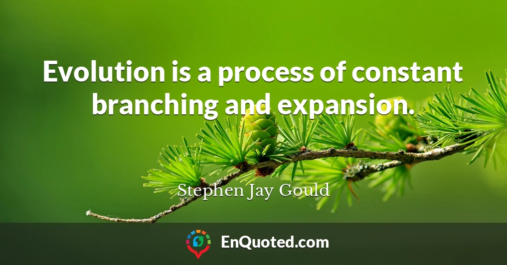 Evolution is a process of constant branching and expansion.