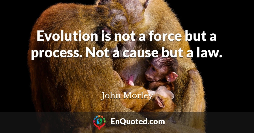 Evolution is not a force but a process. Not a cause but a law.