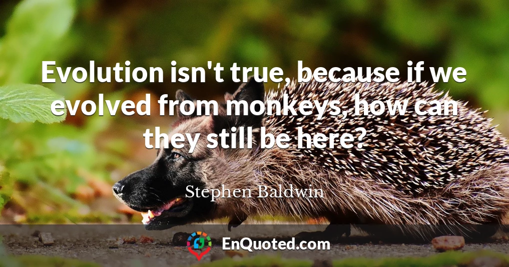 Evolution isn't true, because if we evolved from monkeys, how can they still be here?