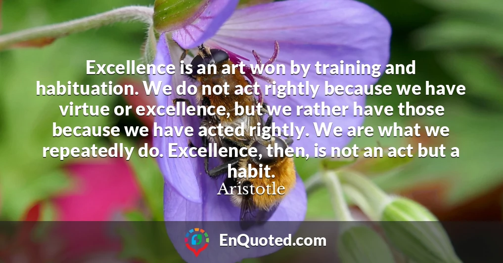 Excellence is an art won by training and habituation. We do not act rightly because we have virtue or excellence, but we rather have those because we have acted rightly. We are what we repeatedly do. Excellence, then, is not an act but a habit.