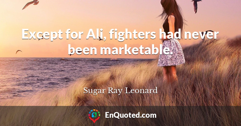 Except for Ali, fighters had never been marketable.