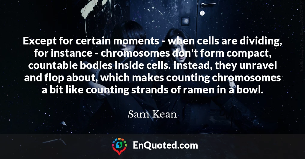Except for certain moments - when cells are dividing, for instance - chromosomes don't form compact, countable bodies inside cells. Instead, they unravel and flop about, which makes counting chromosomes a bit like counting strands of ramen in a bowl.